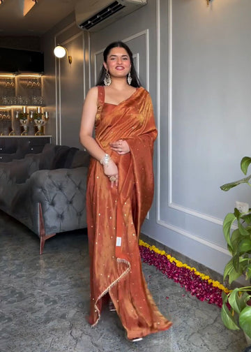 Chimar Tissue Silk Saree with Mukesh Work & Heavy Fancy Lace S2520